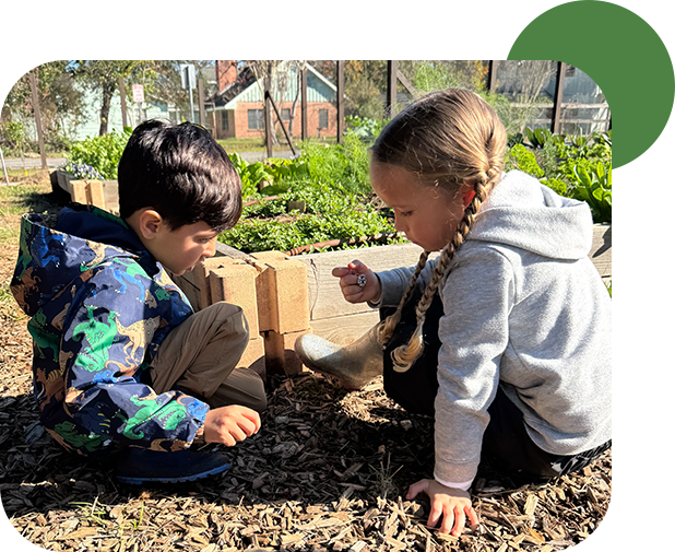 01_Slider-Learning-Environment_Woodlands-Forest-School