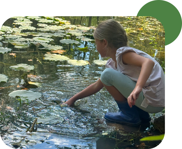 03_Slider-Learning-Environment_Woodlands-Forest-School