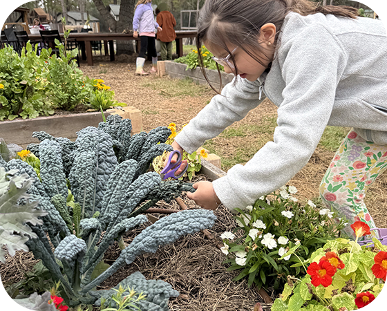04_Slider-Outdoor-Learing_Woodlands-Forest-School