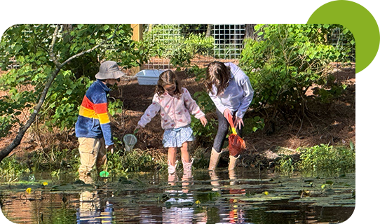 01_slider-early-childhood_kids-forest-school-activities_4_WFS_desktop
