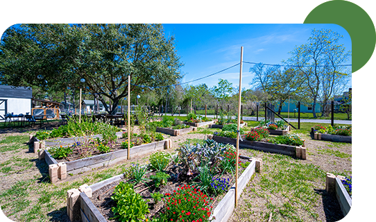 02_slider-campus-woodlands-forest-school_3_WFS_desktop