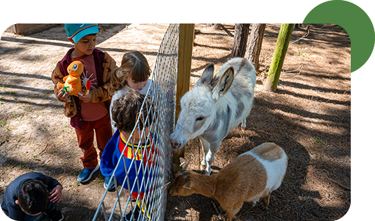 02_slider-early-childhood_campus-woodlands-forest-school_4_WFS_desktop