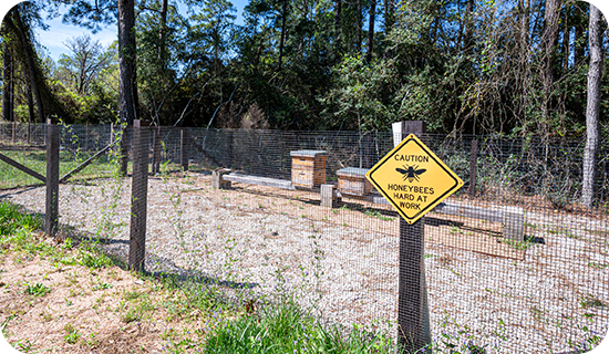 6-slider-campus-woodlands-forest-school_who-we-are