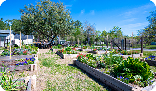 8-slider-campus-woodlands-forest-school_who-we-are