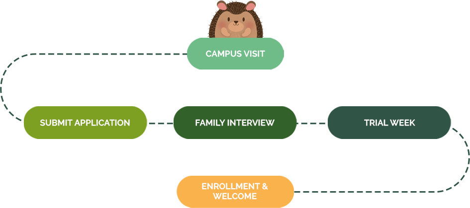Enrollment process overview for Woodlands Forest School