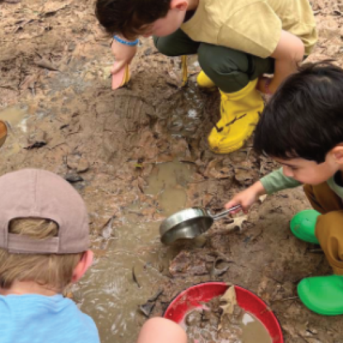 Students playing and learning in nature at Woodlands Forest School